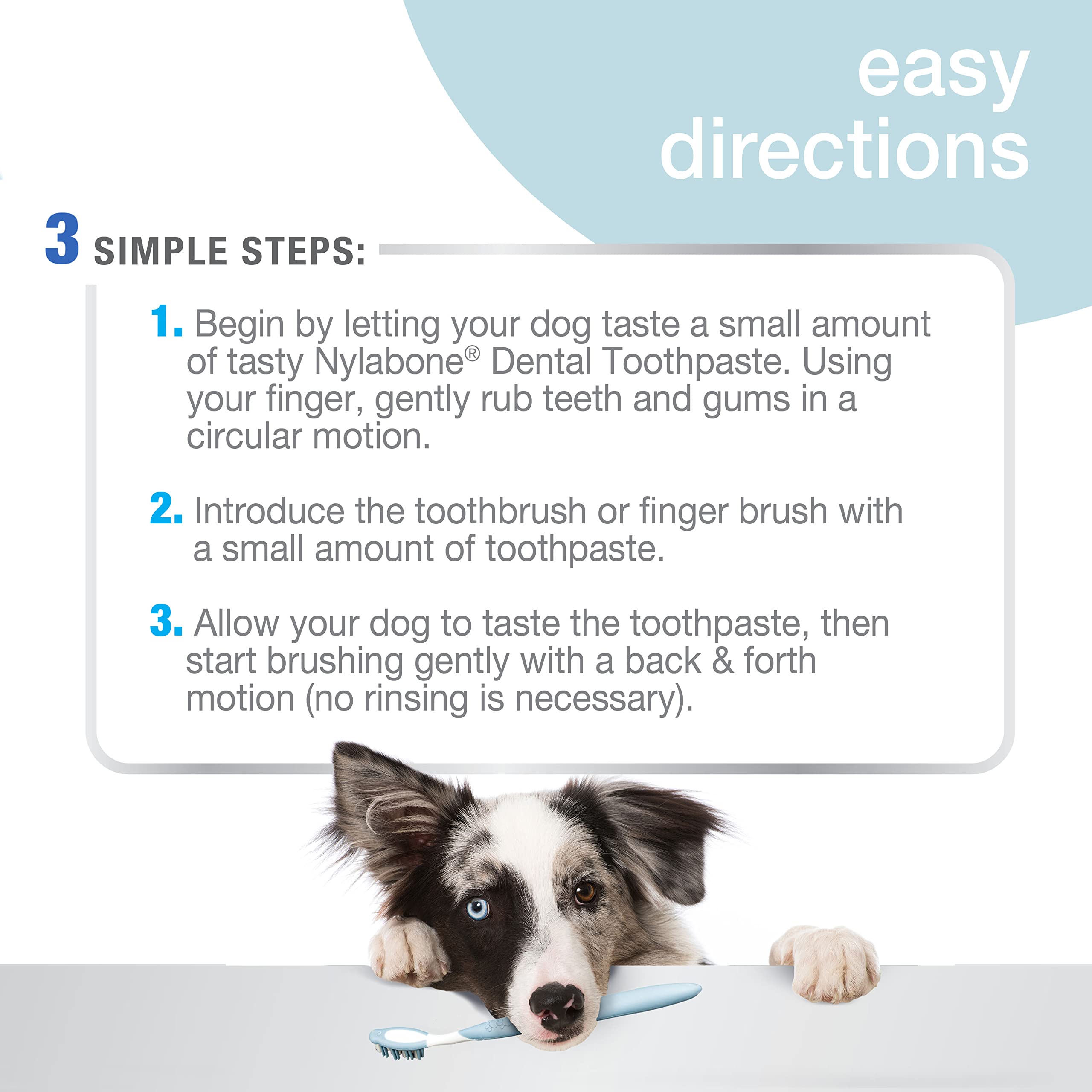 Tube dentifrice chien Nylabone original, prêt à l’utilisation