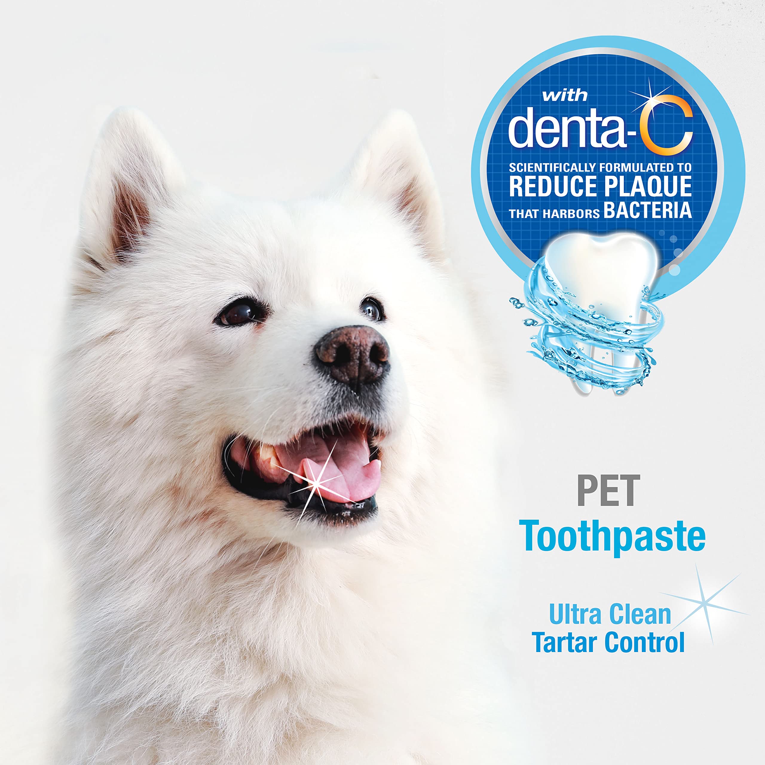 Nylabone dentifrice chien, lutte contre les plaques et le tartre