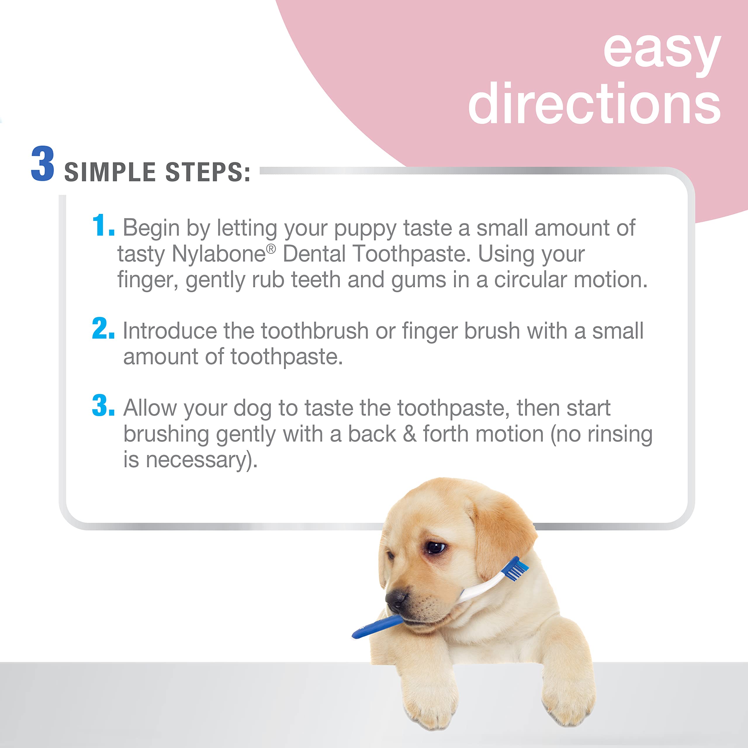 Nylabone dentifrice chiot original – formulation Denta-C pour la plaque et les bactéries
