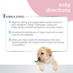 Nylabone dentifrice chiot original – formulation Denta-C pour la plaque et les bactéries