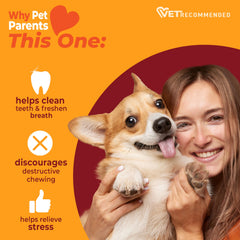 Nylabone dentition-sante-jouet-dur : contribue à une hygiène dentaire pendant le jeu.