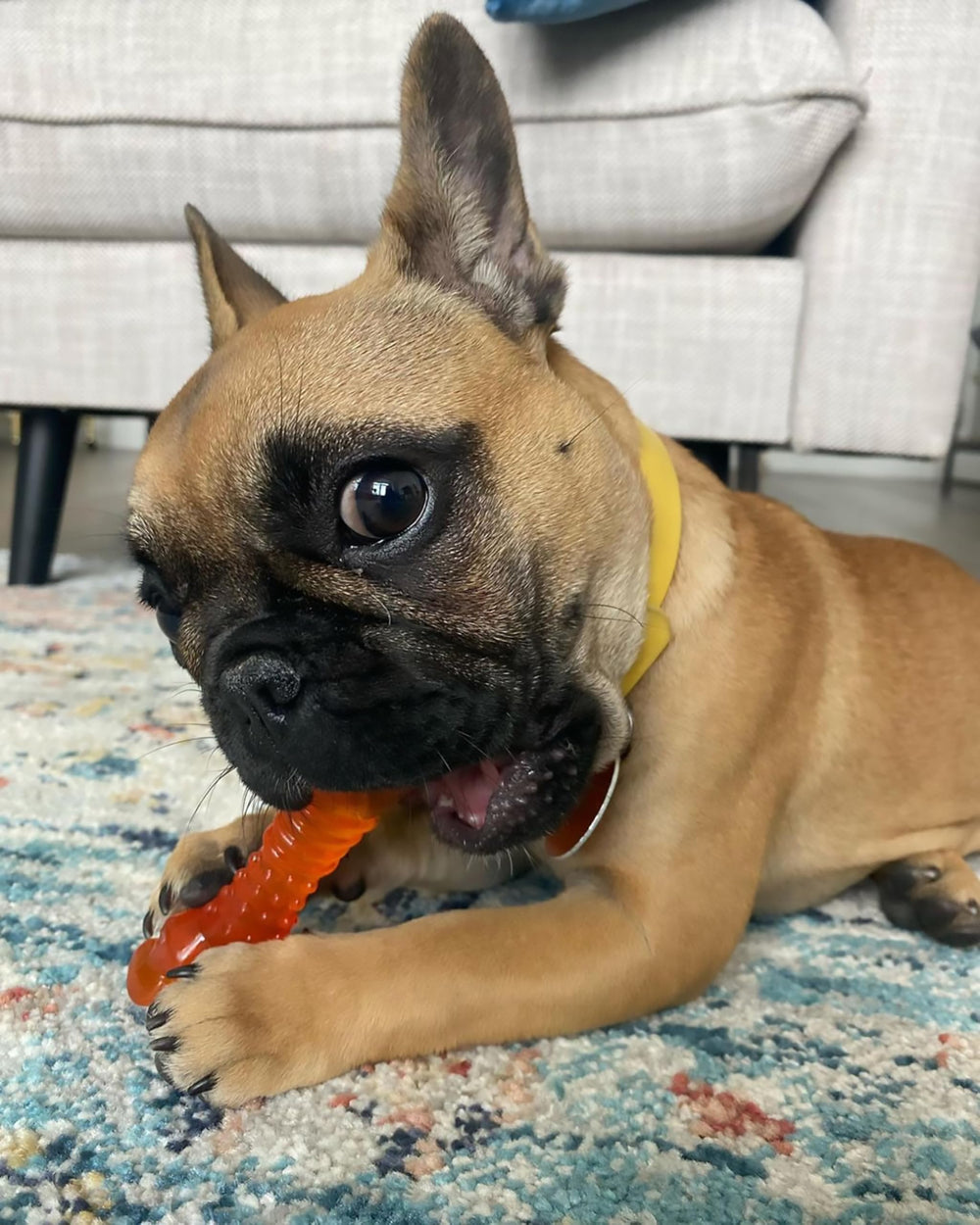 Nylabone design-sure-chiot: jouet sûr et durable pour petites dents