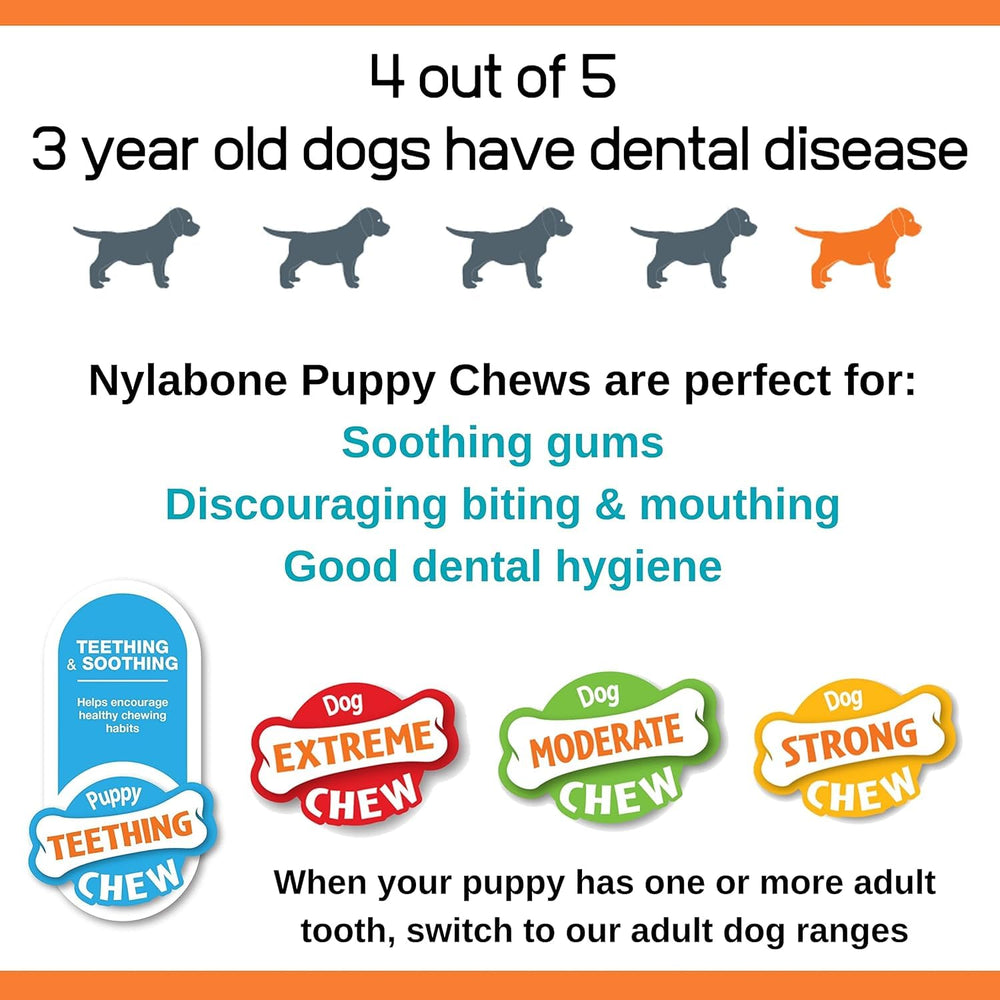Nylabone dimensions 4x3 pouces petit chiot.