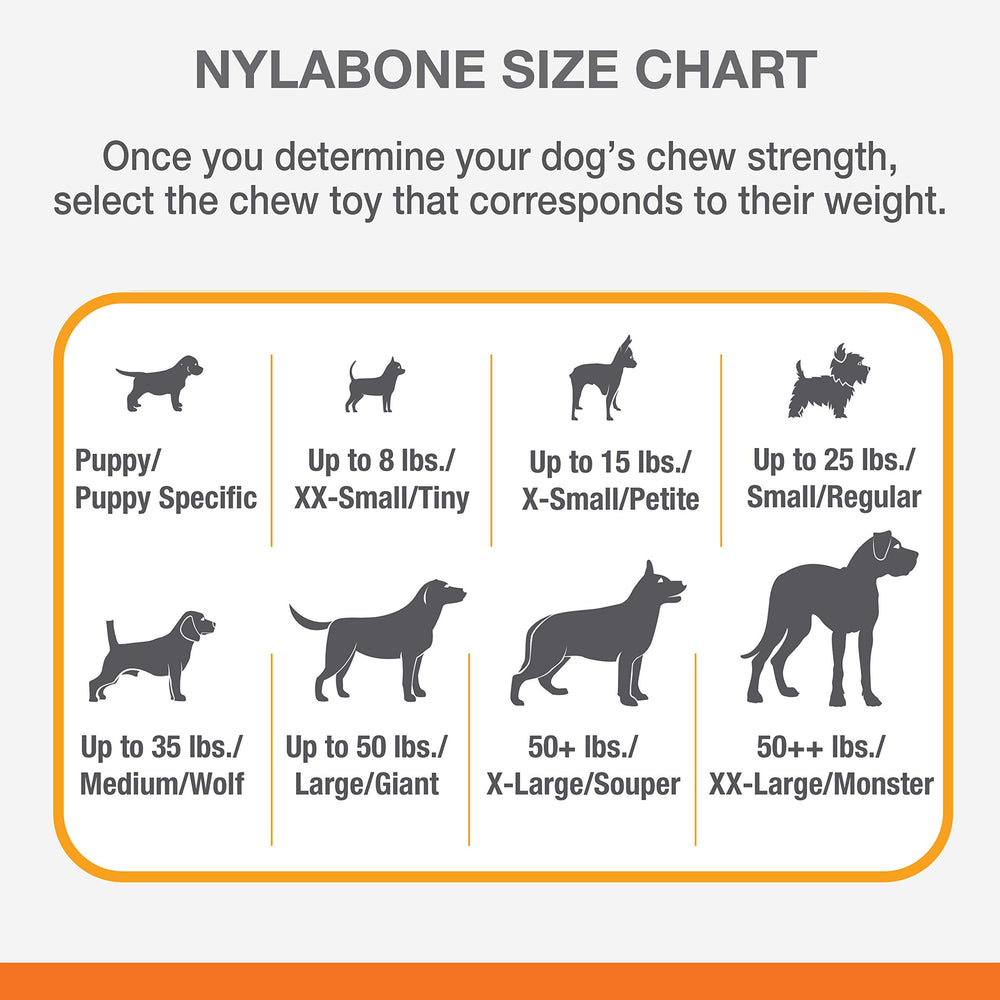 Nylabone Double Bone Power Chew Toy – reliefs dentaires aidant pendant la mastication