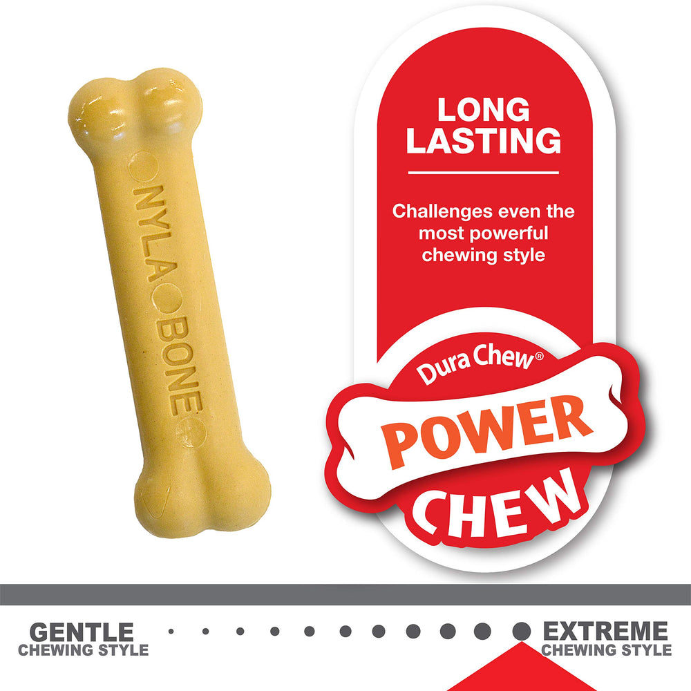Ensemble Nylabone chiot mastication, encourager des habitudes positives.