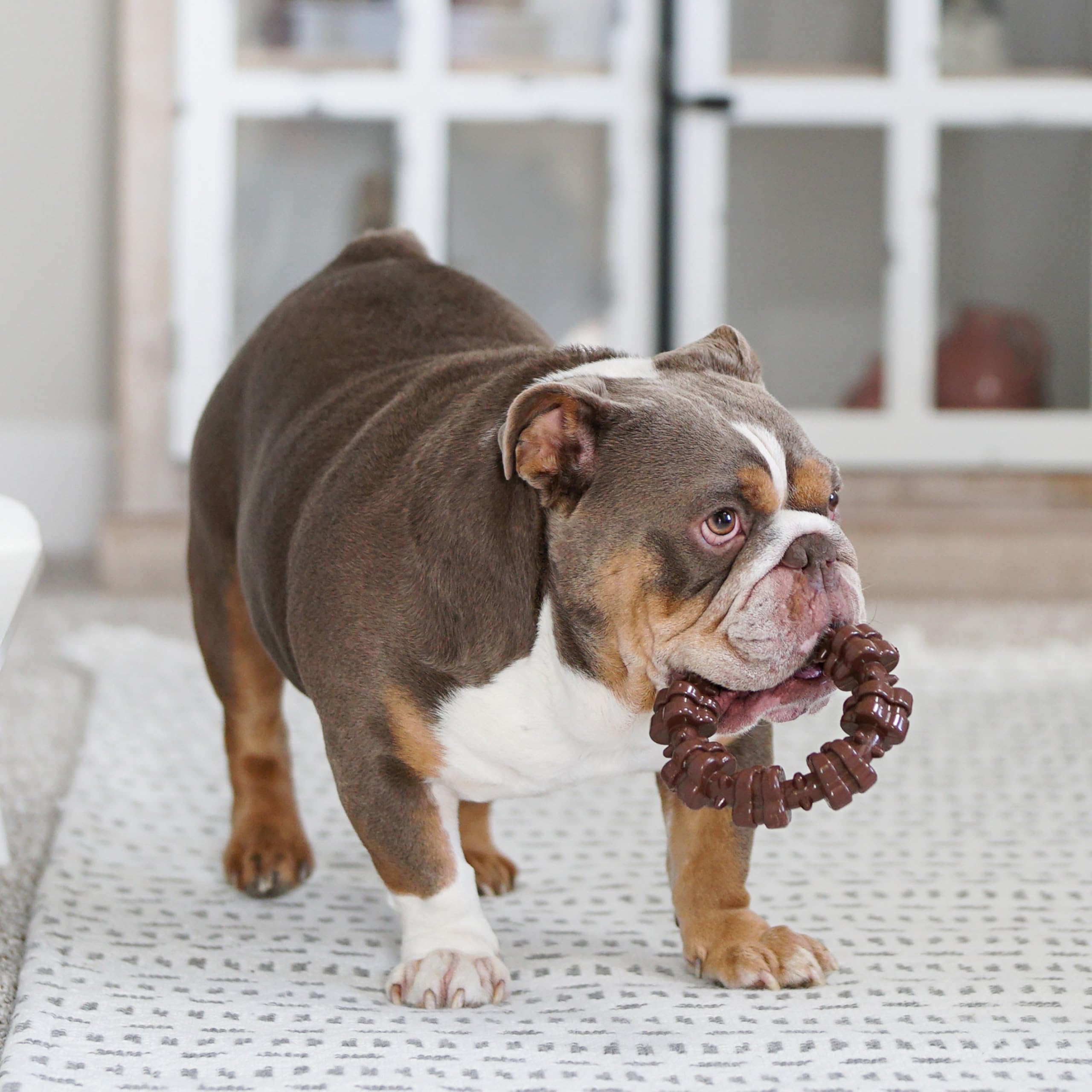 Fabrication aux États‑Unis du jouet Nylabone pour chiens de grande taille.