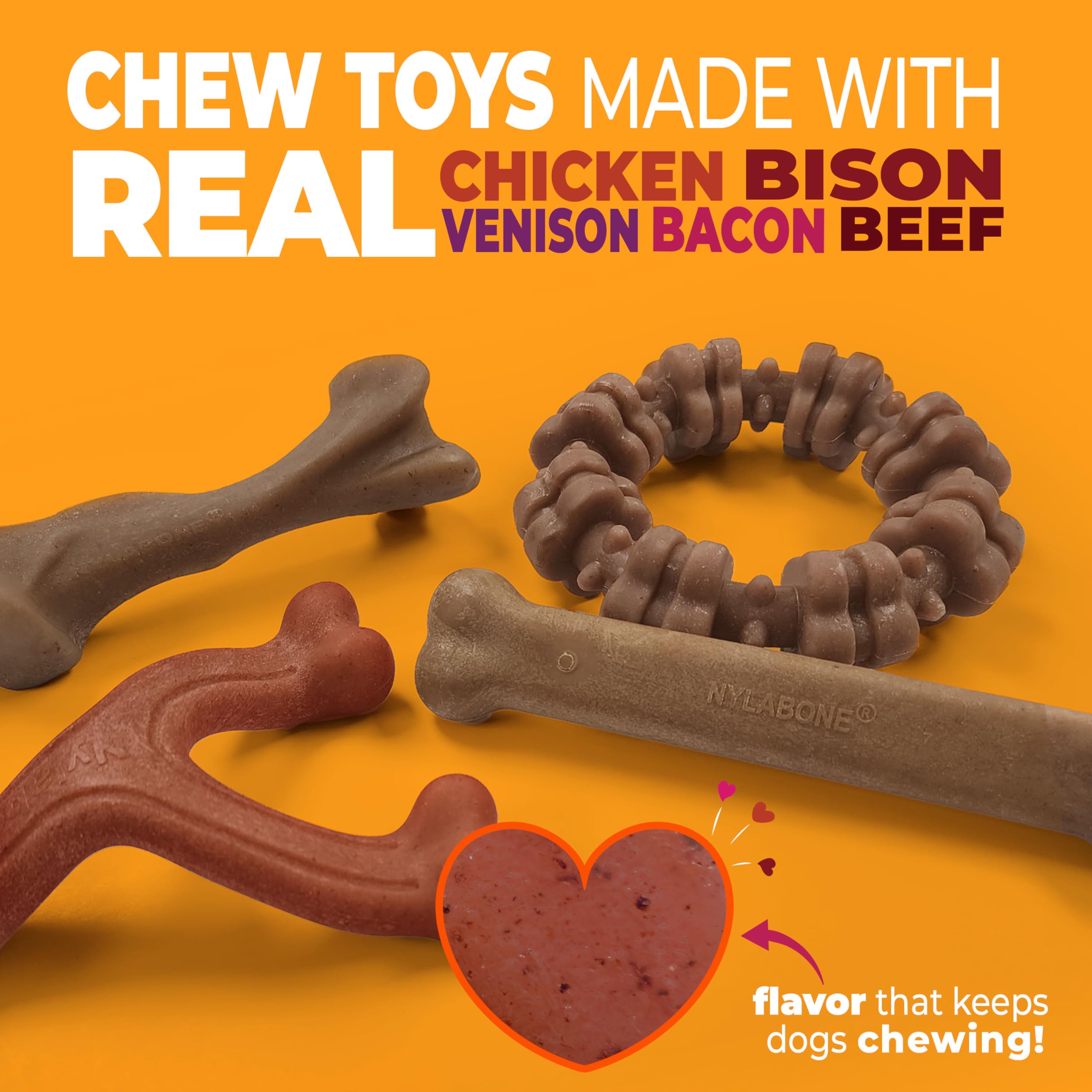 Nylabone Femur Bone en bison et venaison, mastication réaliste et sûre