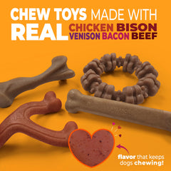 Nylabone Femur Bone en bison et venaison, mastication réaliste et sûre
