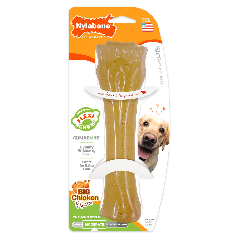 Nylabone Flexi Chew prêt pour congélation – mastication plus fraîche et rafraîchissante.