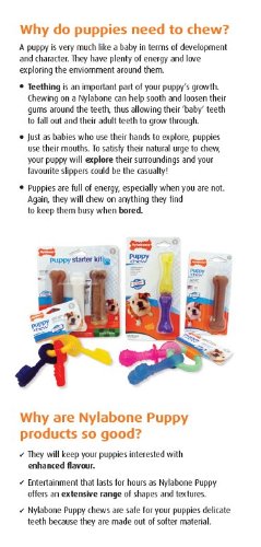Nylabone Flexi Chew durable et longue durée pour mâcheurs modérés.