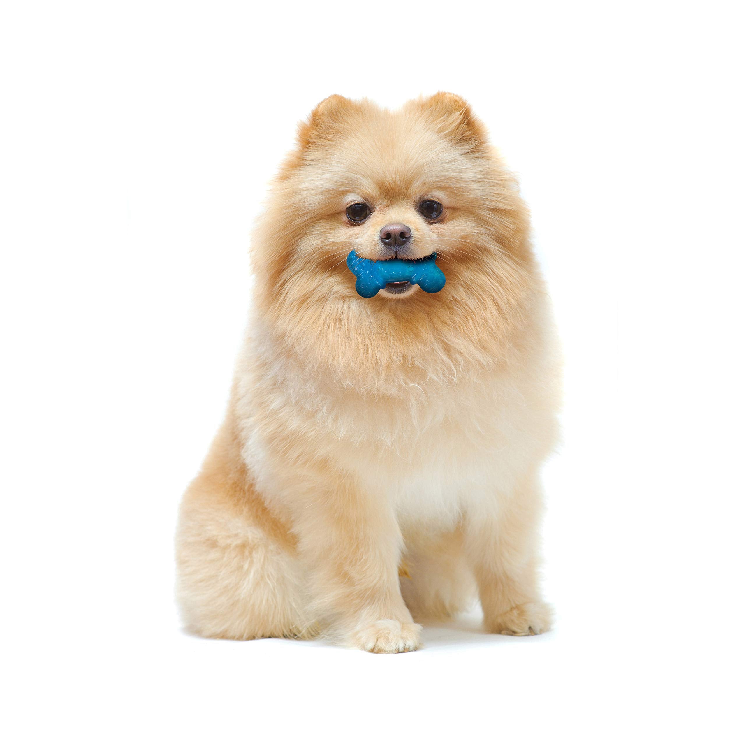Nylabone os souple reliefs dentaires, aide potentielle au nettoyage des dents.