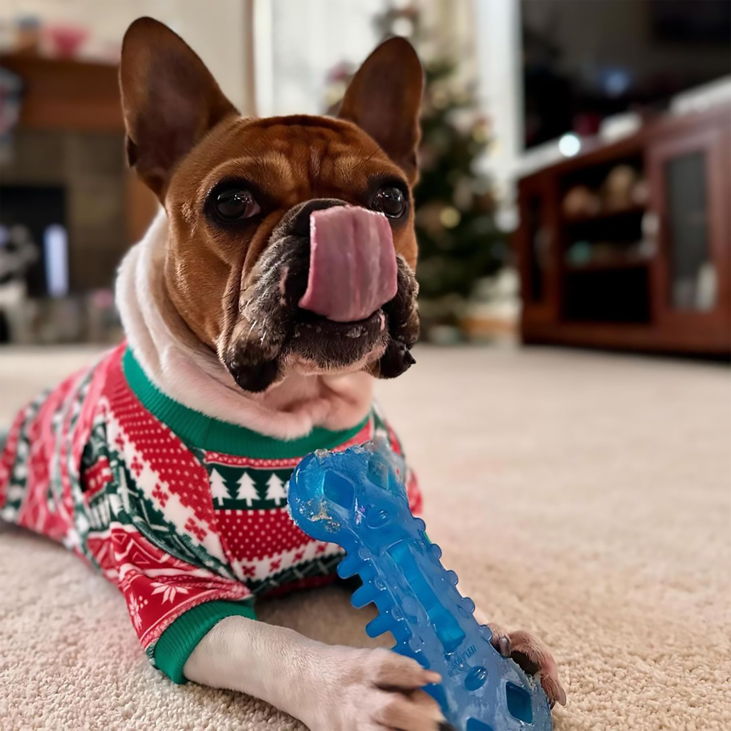 Nylabone Flexi Chill, poches traitements poulet, permet d’alterner friandises et jeu.