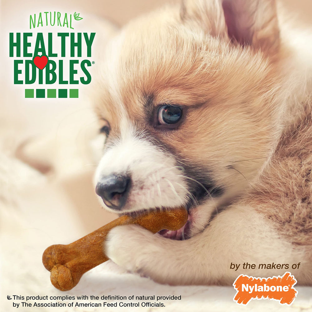 Récompense et jeu, friandise naturelle chiots, saveur dinde et patate douce, digestibilité élevée.