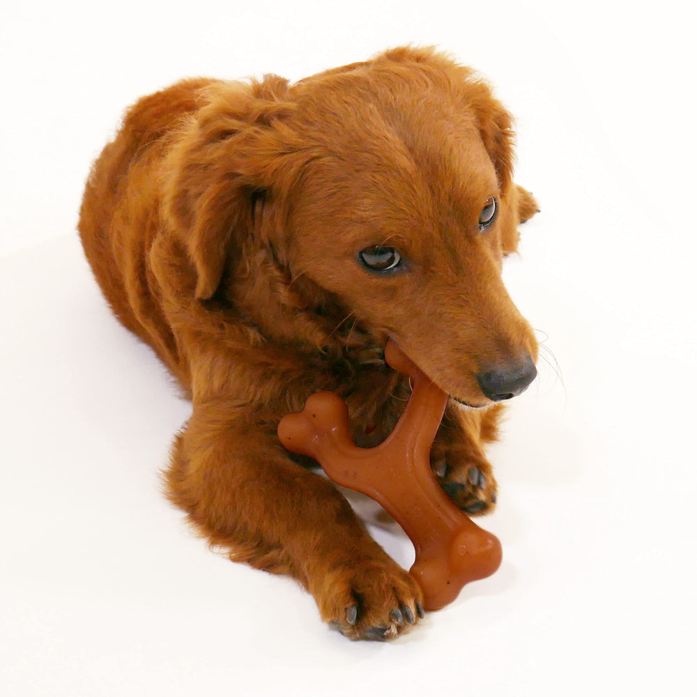 Nylabone Gourmet Style Mordeur Durable : jouet robuste pour morsures puissantes.