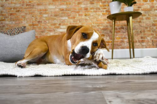 Nylabone Gourmet Style Wishbone — Fabriqué aux États‑Unis et recommandé par des vétérinaires.