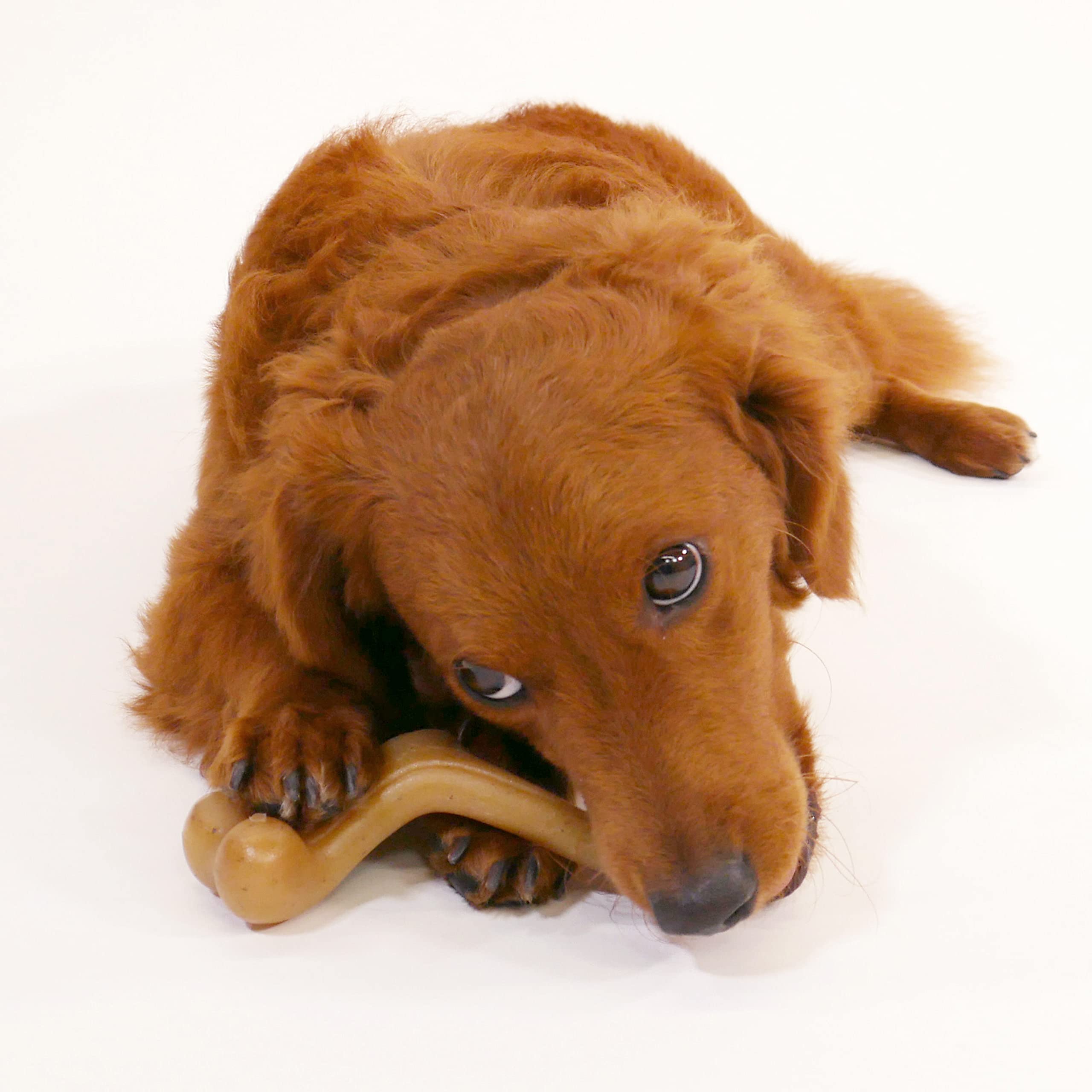 Nylabone Gourmet Style Wishbone Petit Chiens – adapté jusqu'à 11 kg.