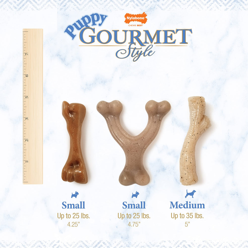 Nylabone Saveur poulet appétente qui pousse à mâcher.