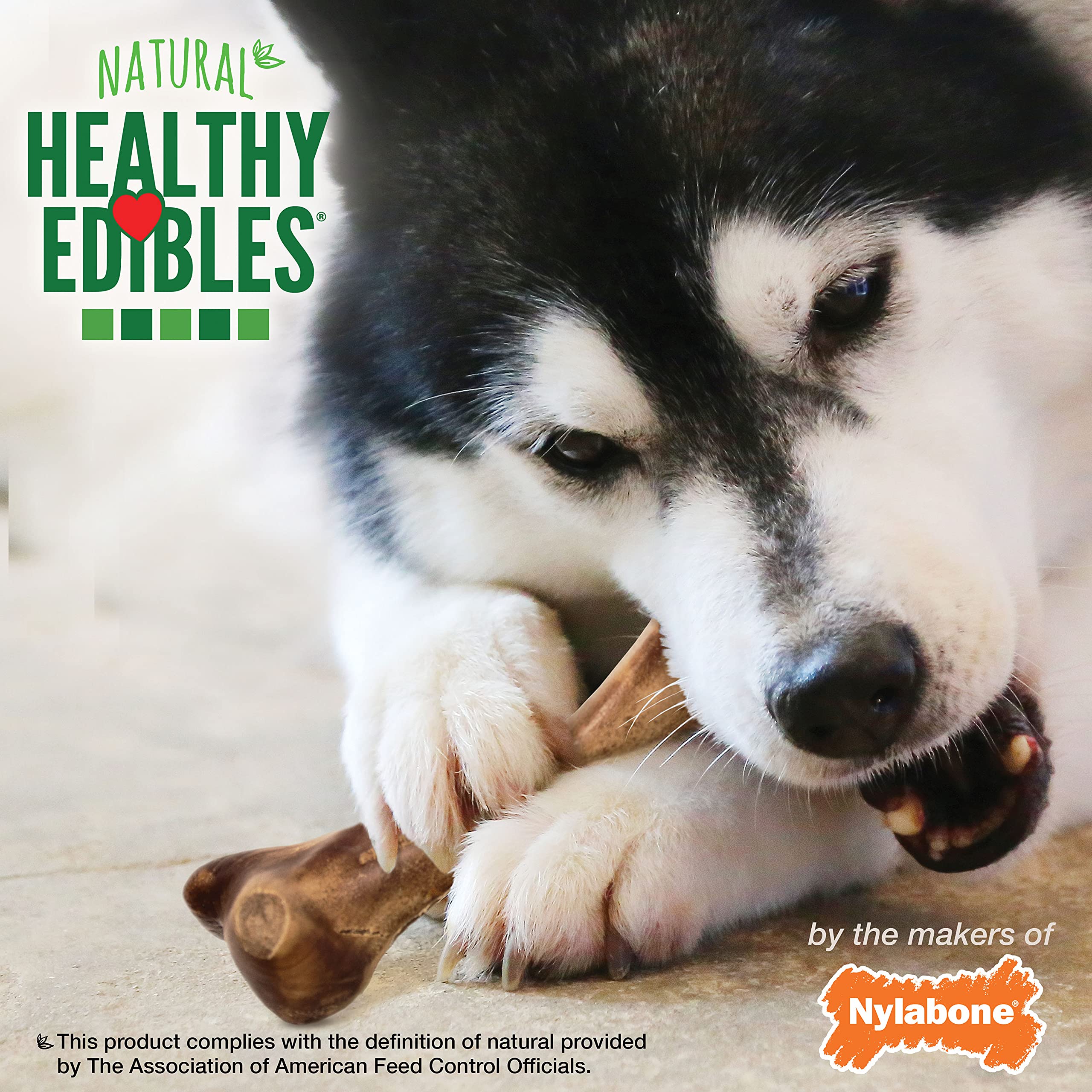 Nylabone Healthy Edibles goût bison apprécié par les chiens.