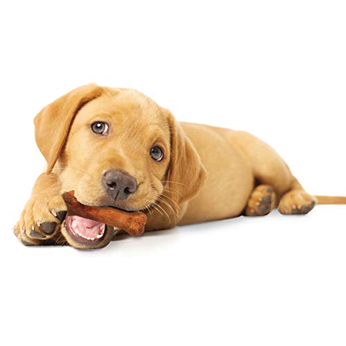 Nylabone Healthy Edibles trois pièces prêt à être offert comme récompense.
