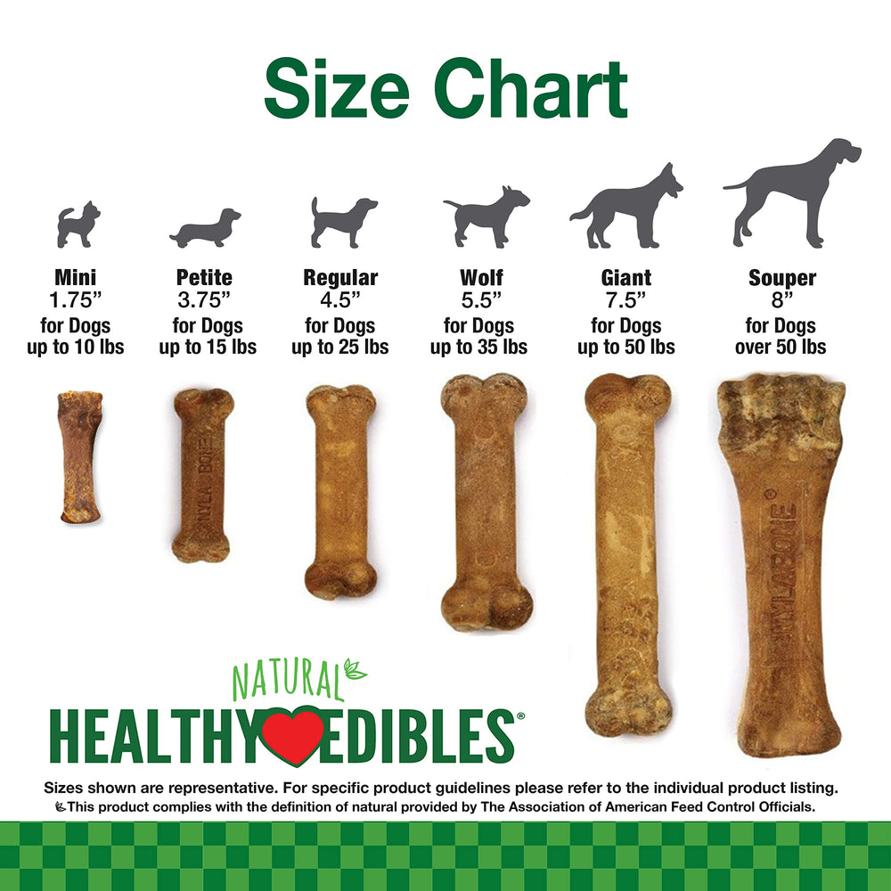 Parfait pour les routines quotidiennes et l attention du chien.
