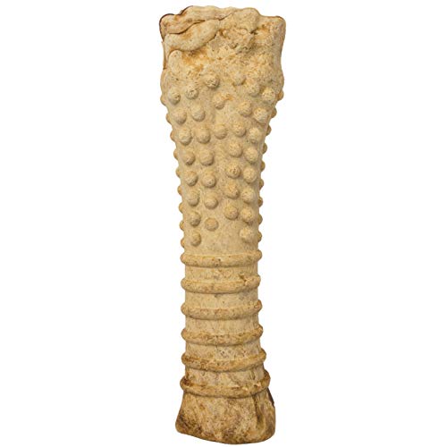 Nylabone Healthy Edibles arôme dinde-pomme, parfum agréable pour chien