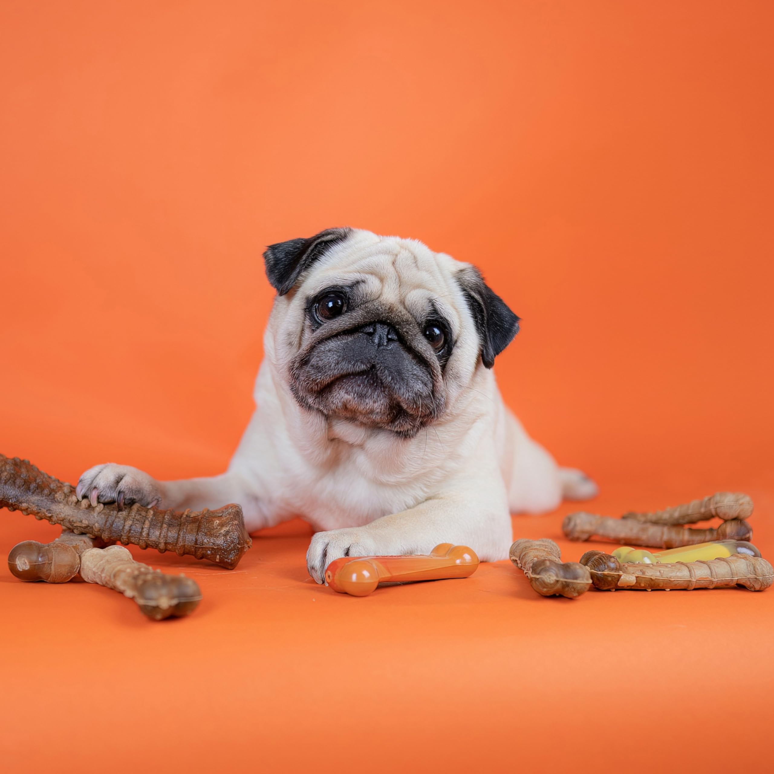Nylabone Healthy Edibles - arôme-poulet-irresistible: goût captivant pour chiens.