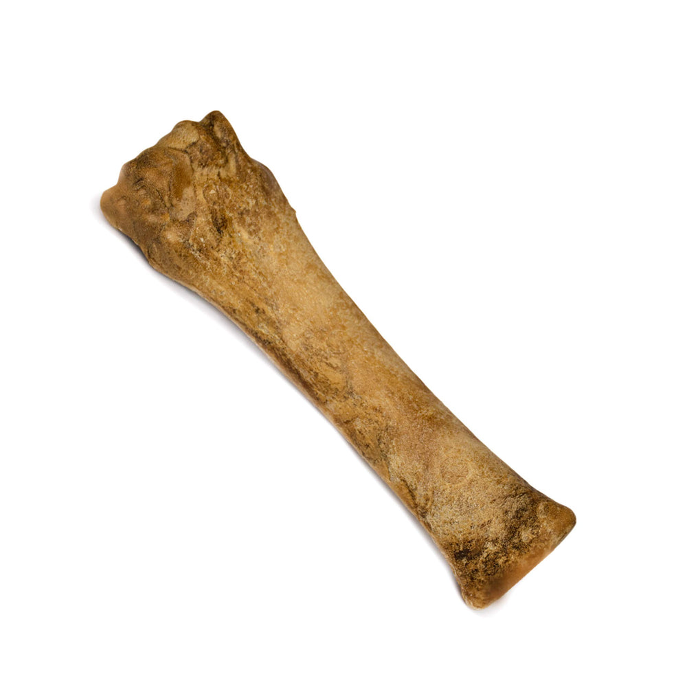 Nylabone bacon mastic soutient le comportement de mastication et apaise les envies.