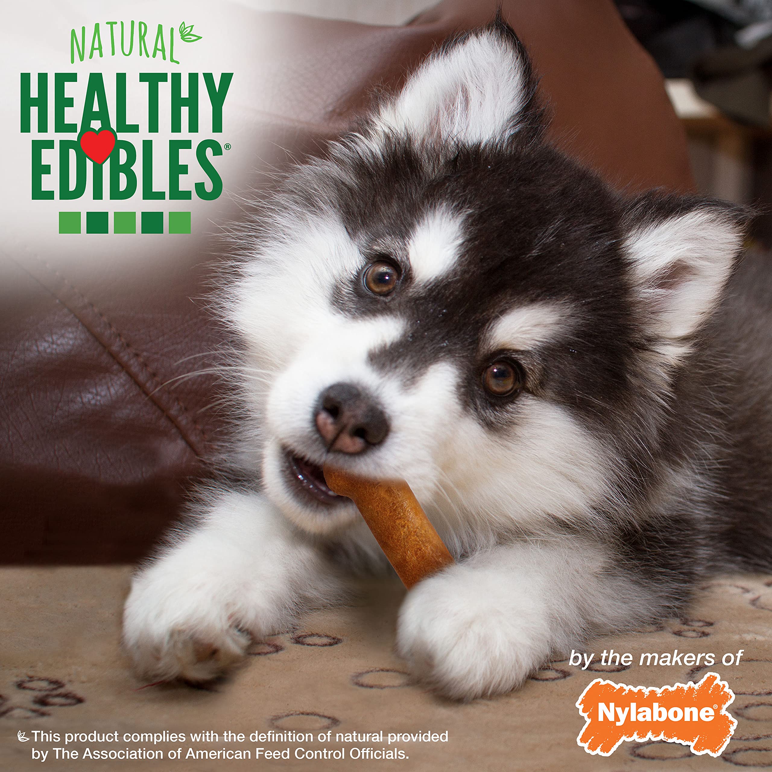 Nylabone Healthy Edibles entraînement chiot avec dinde et patate.