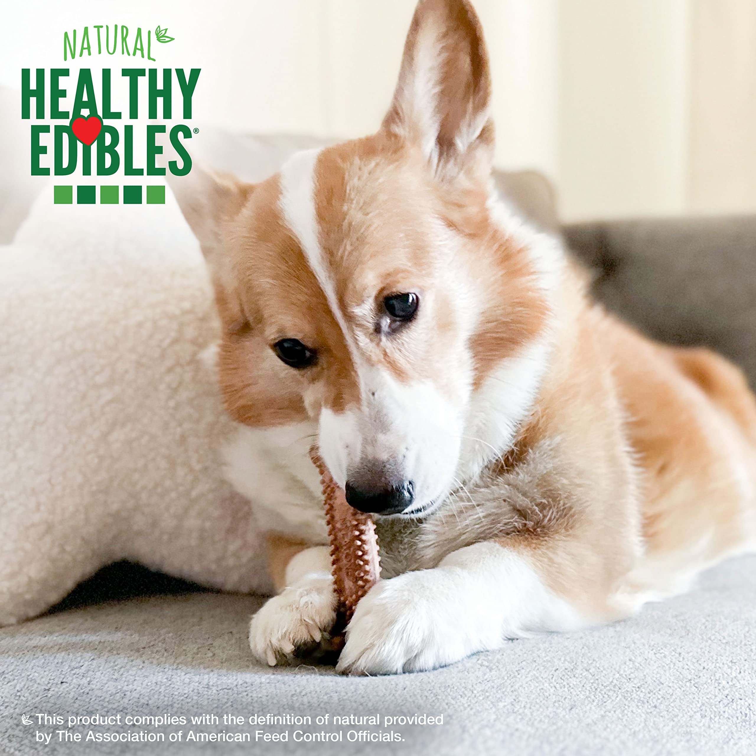 Nylabone Healthy Edibles format petite taille convenant aux petits chiens.