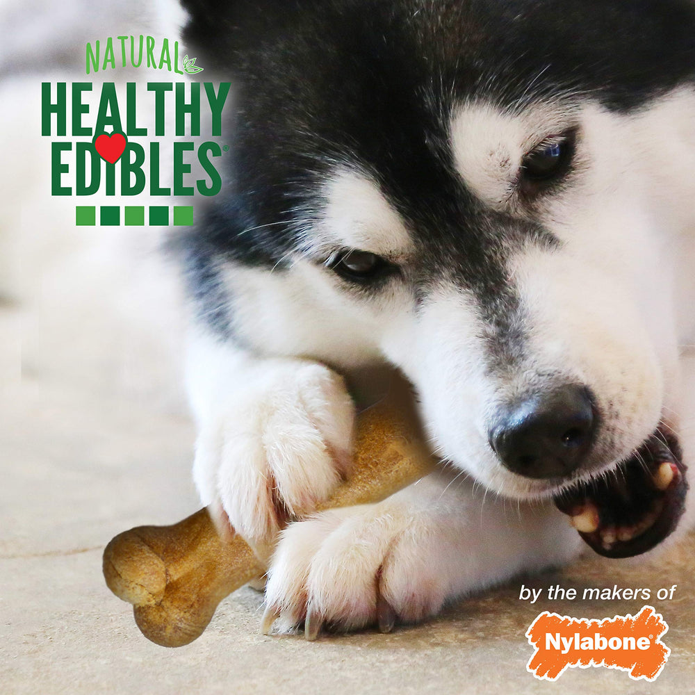 Nylabone Healthy Edibles format Regular pour petits chiens jusqu’à 25 lb