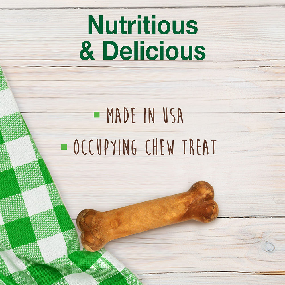 Nylabone Healthy Edibles grignotage longue durée pour chiot.