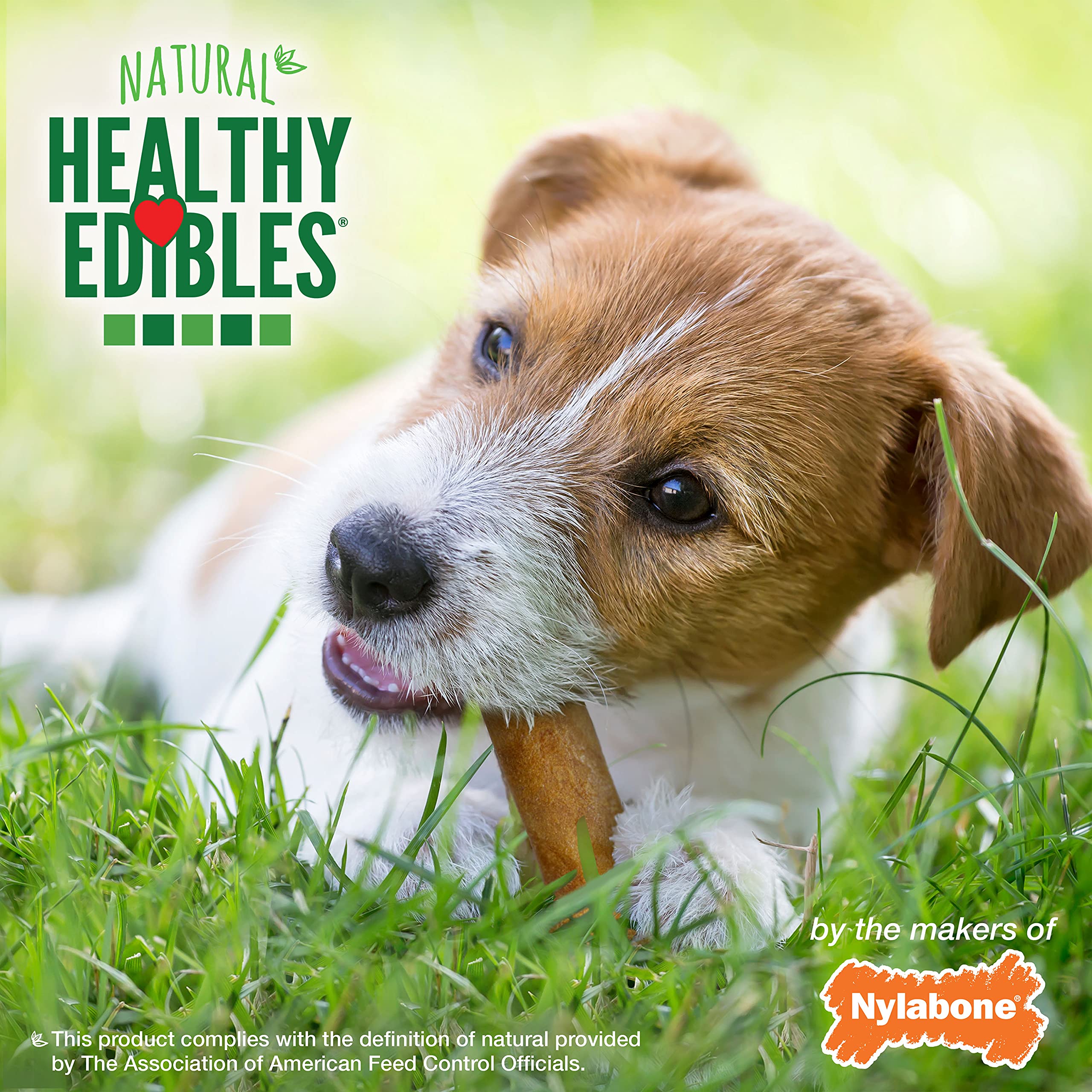 Utilisation pédagogique: Nylabone Healthy Edibles soutient les sessions d’entraînement.