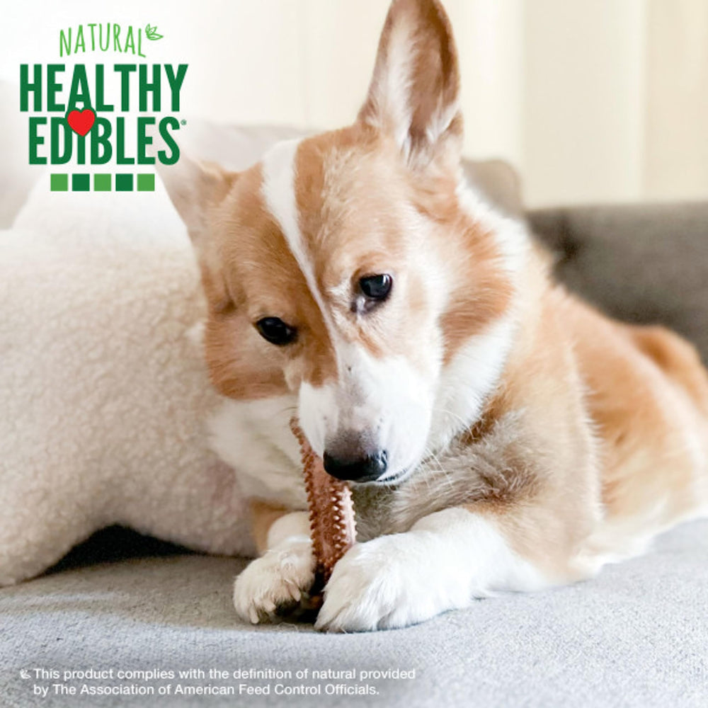 Nylabone Healthy Edibles: ingrédients limités, sans colorants, arômes ni conservateurs artificiels.