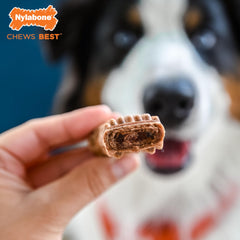 Nylabone Healthy Edibles ingrédients limités, sans colorants ni arômes artificiels, pour une friandise plus simple.