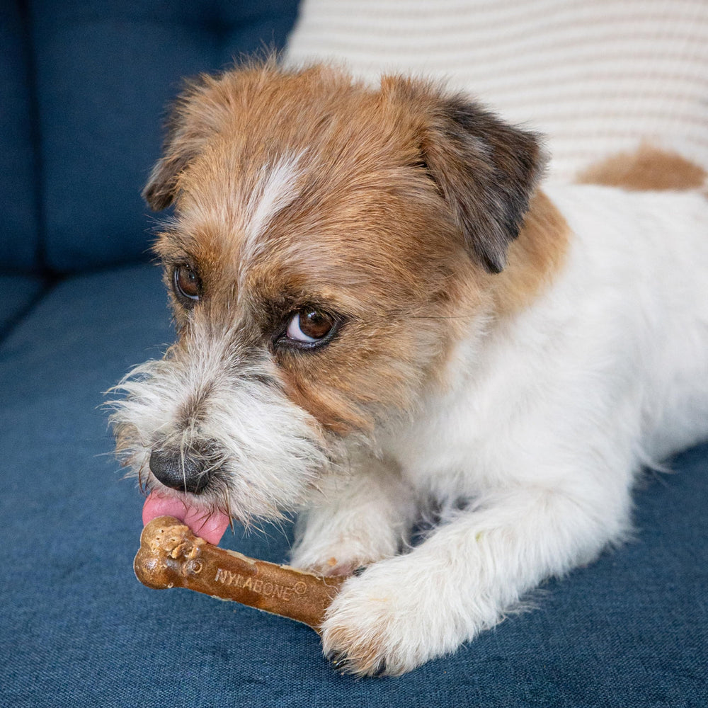 Nylabone Healthy Edibles: ingrédients naturels.