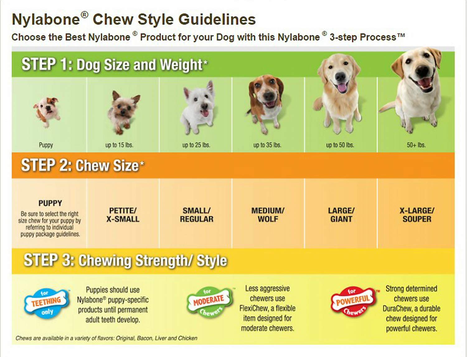 Nylabone Healthy Edibles texture résistante, chien satisfait après croquer.