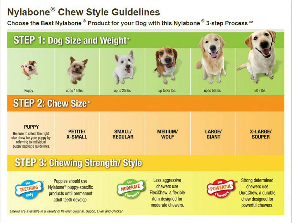 Nylabone Healthy Edibles texture résistante, chien satisfait après croquer.