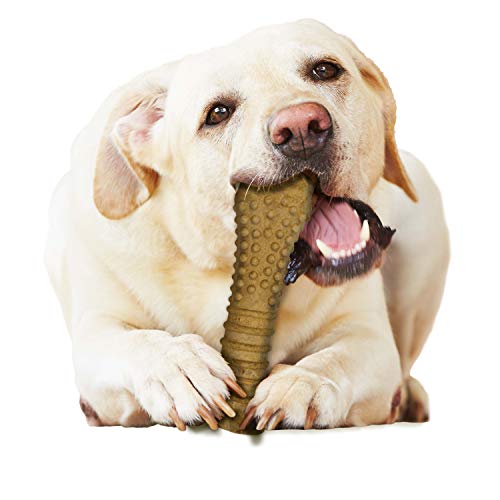 Nylabone Healthy Edibles occupent la bouche et soutiennent l’habitude de mastiquer.