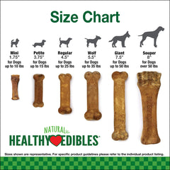 Nylabone Healthy Edibles os durables, stimulation mentale et plaisir lors du jeu