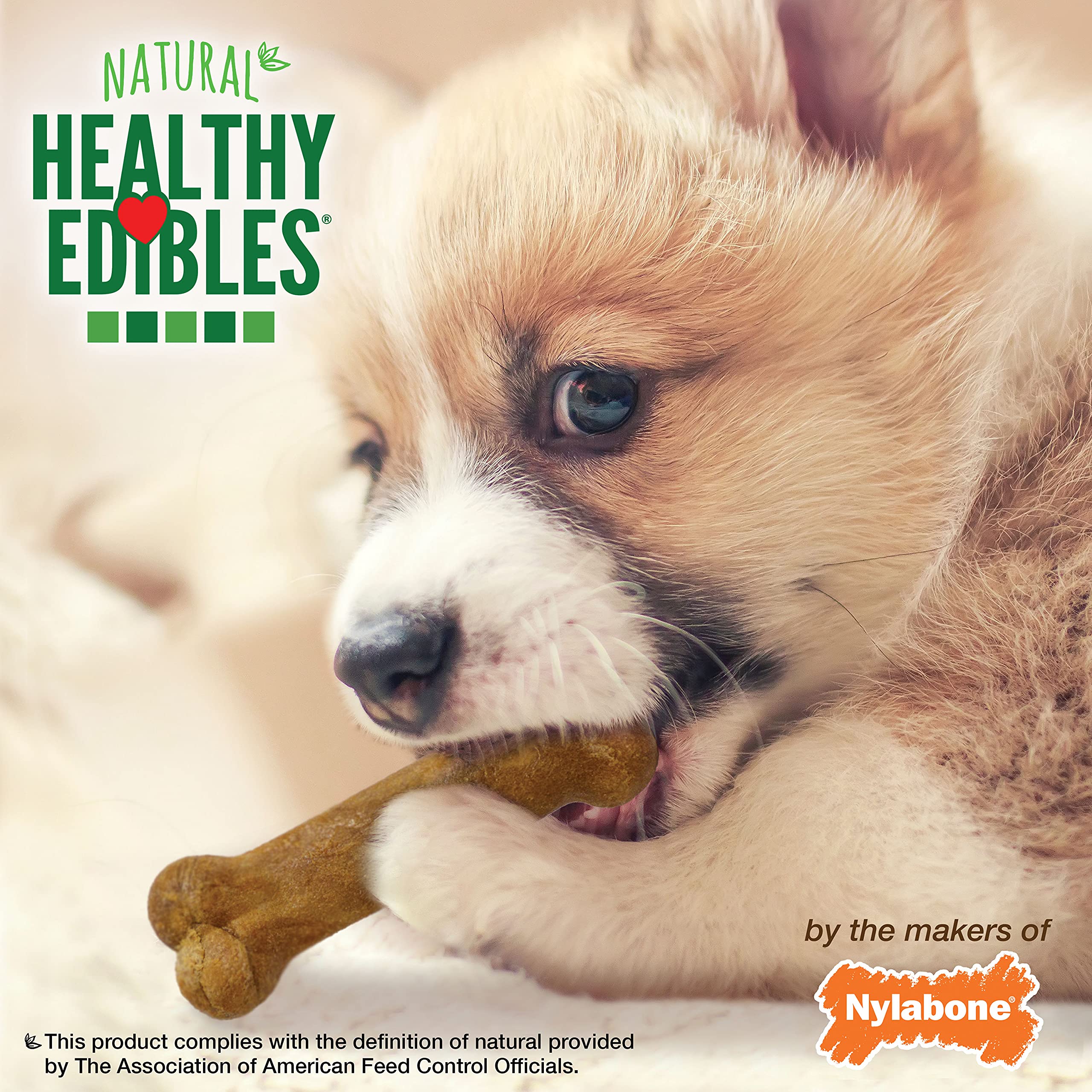 Nylabone Healthy Edibles lot trio, trois friandises durables