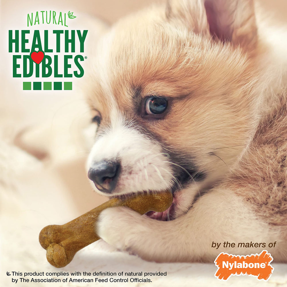 Nylabone Healthy Edibles lot trio, trois friandises durables
