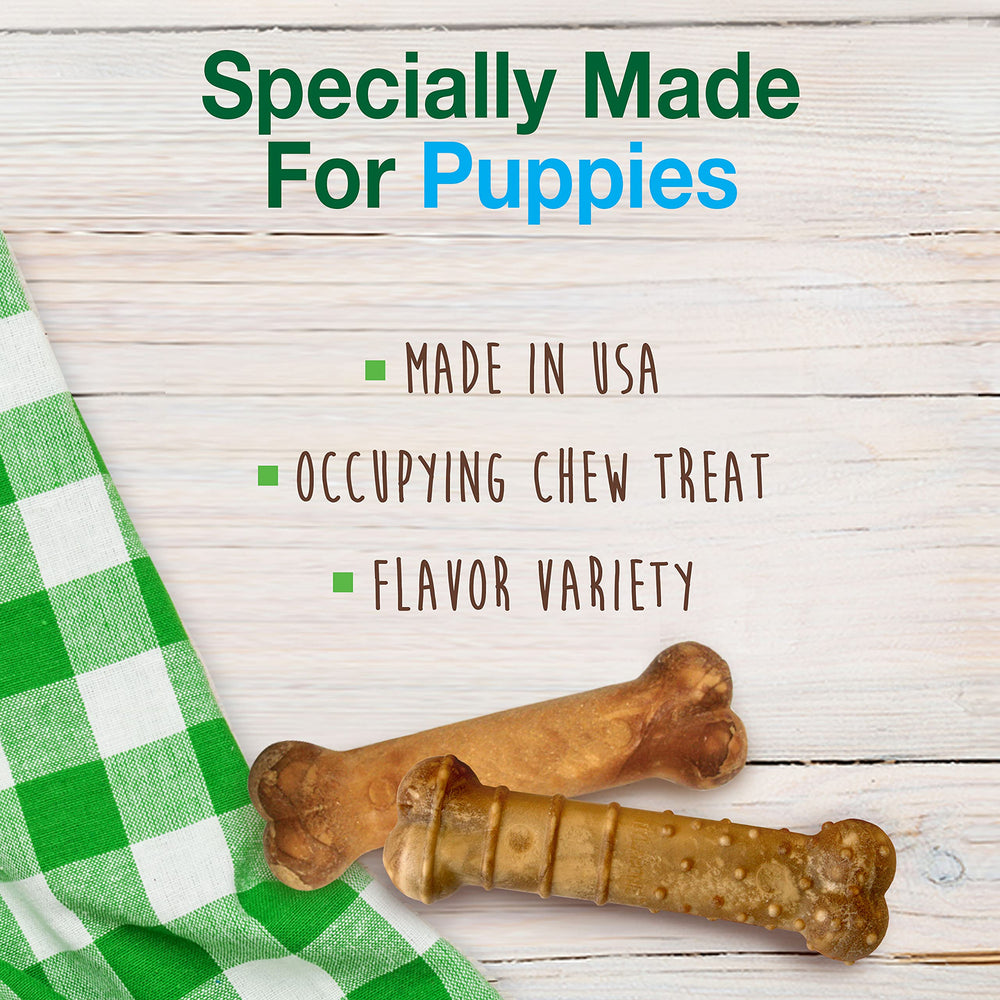 Nylabone Healthy Edibles turkey-apple, saveurs variées pour chiots curieux