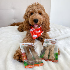 Nylabone Healthy Edibles : os-venaison longue durée idéale pour occuper votre chien.