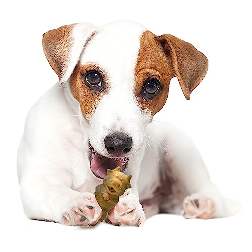 Nylabone Healthy Edibles chiot, longue durée de mastication.