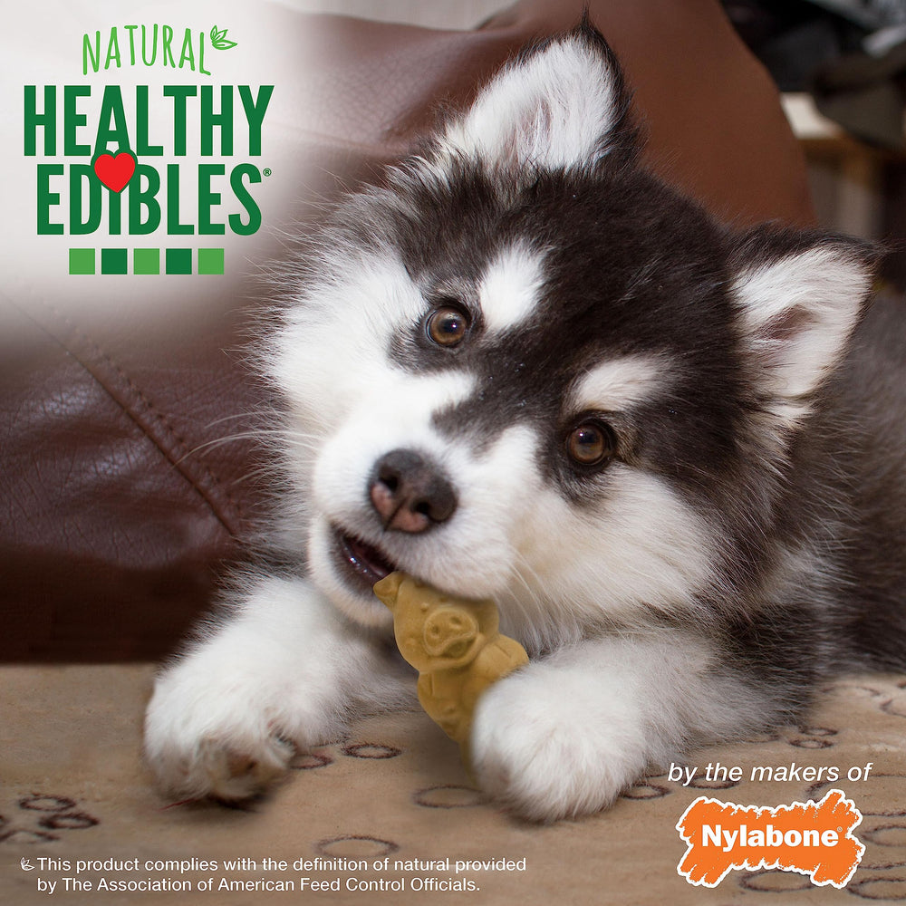 Nylabone Healthy Edibles chiot, petite taille adaptée aux jeunes chiots.