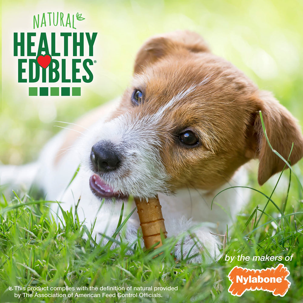 Nylabone Healthy Edibles – sans conservateurs artificiels, choix naturel.