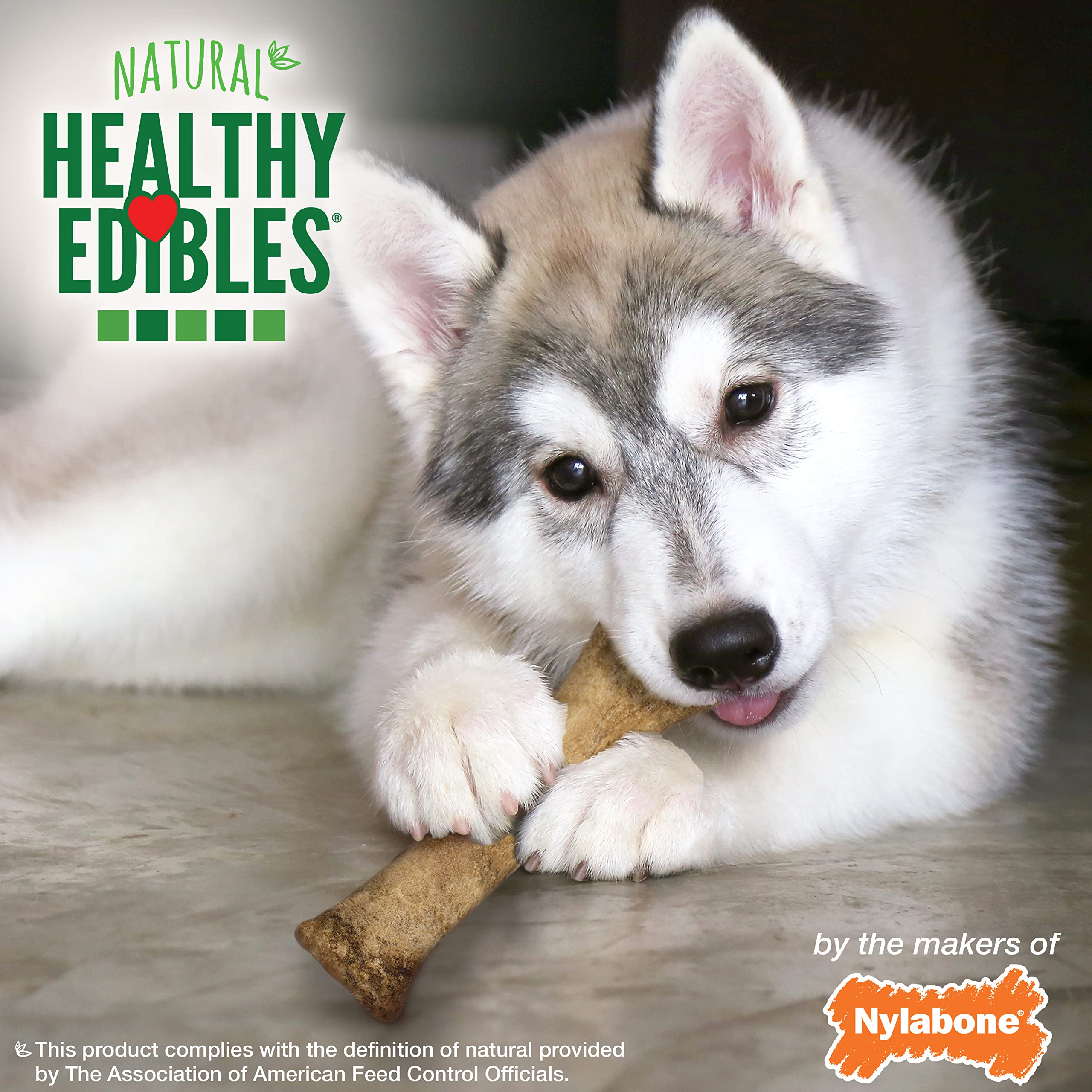 Nylabone Healthy Edibles: sans conservateurs ni colorants artificiels pour chiots.