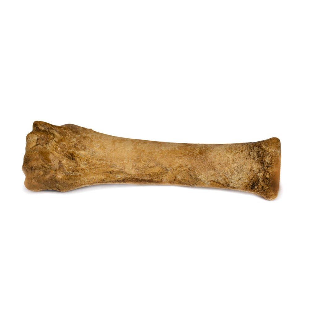 Nylabone Healthy Edibles – sans conservateurs artificiels, option naturelle XL.