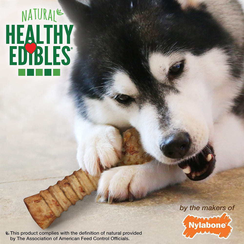Nylabone Healthy Edibles sans sel ajouté, option plus naturelle
