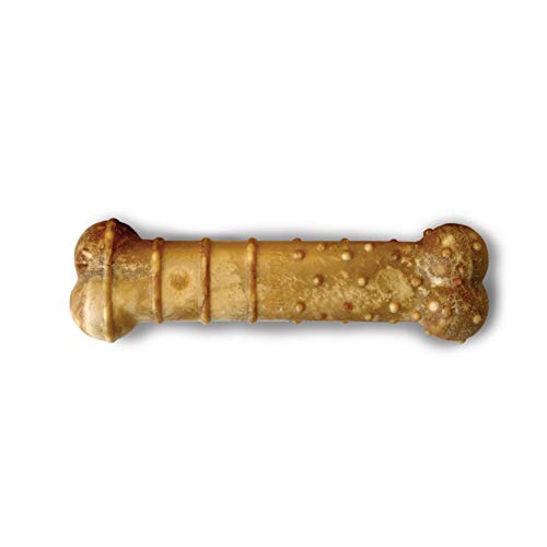 Nylabone Healthy Edibles – saveur dinde et pomme, récompense agréable.